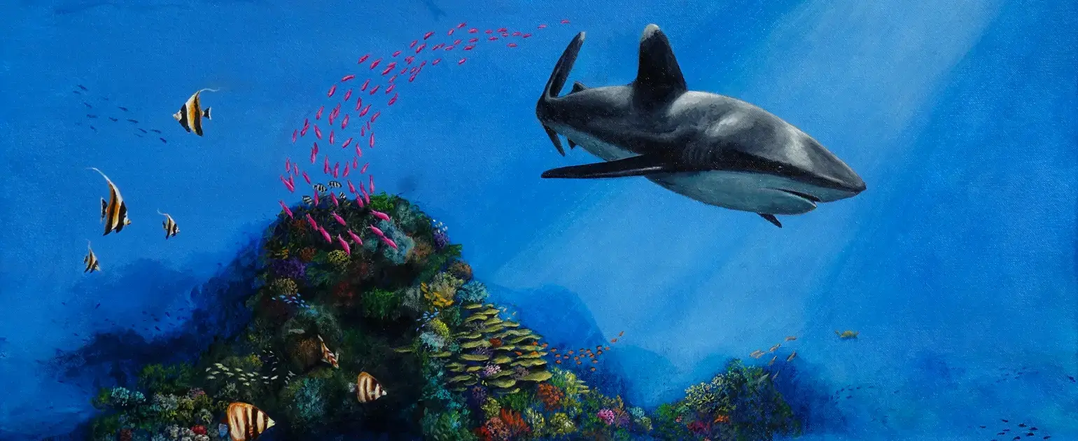 Sharks Great Barrier Reef fish