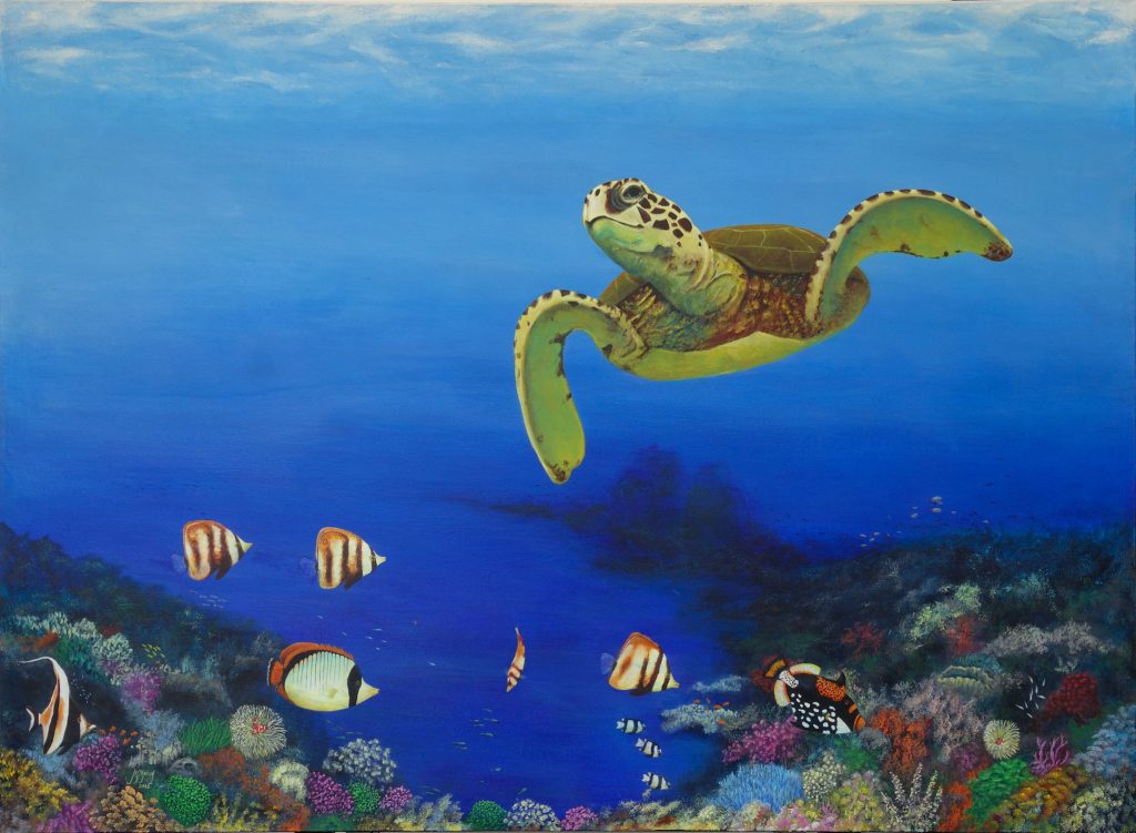 Great Barrier Reef Turtle