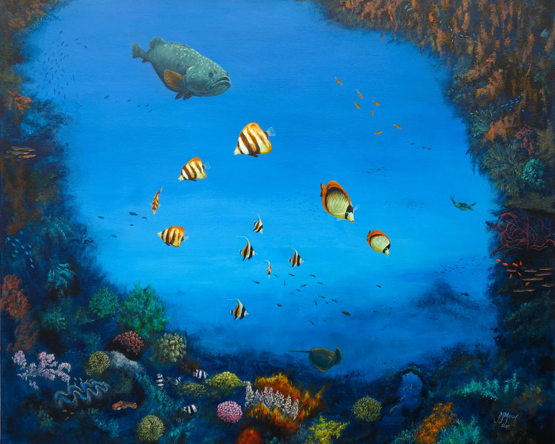 Grouper Great Barrier Reef