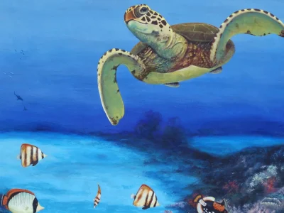 close-up of Painting of Sea Turtle on Great Barrier Reef