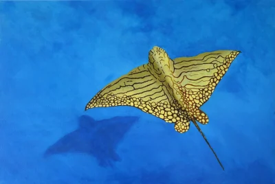 Painting of Eagle Ray on Great Barrier Reef