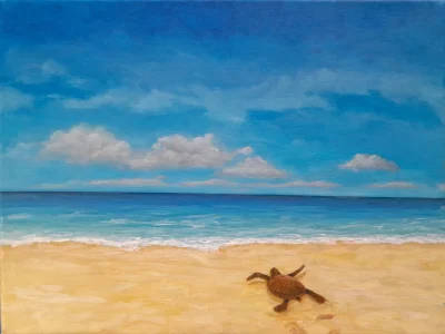 Turtle Hatchling
