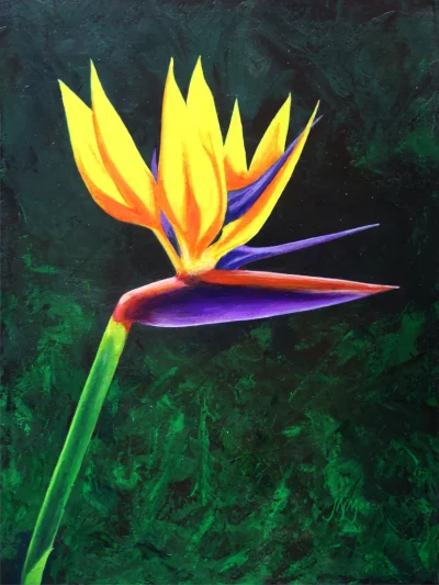 Strelitzia