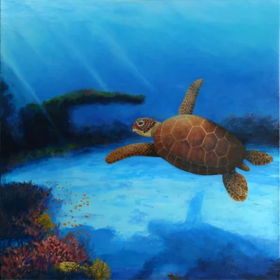 Terry Turtle Prints