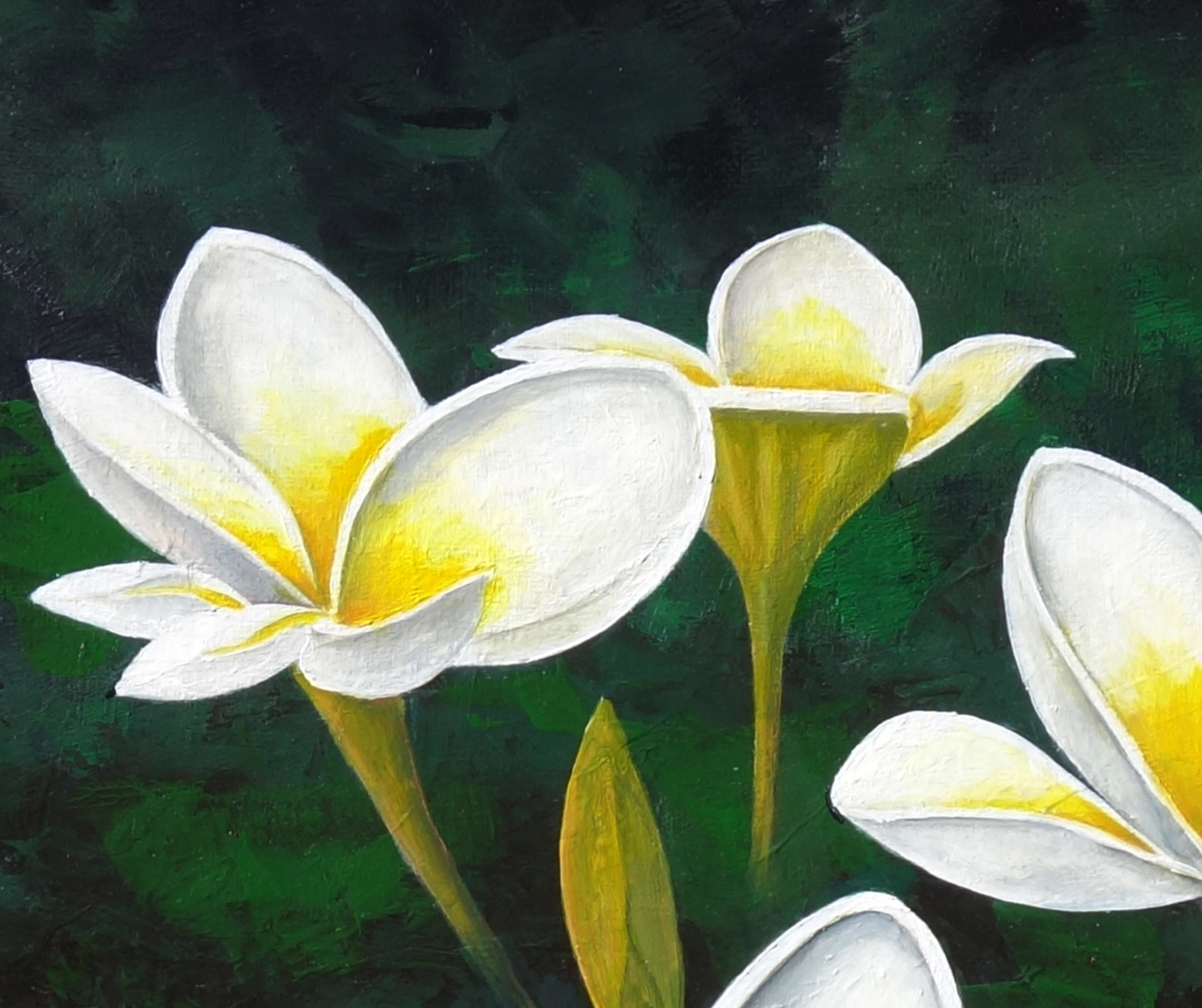 Frangipanis - Image 3